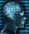 brain function
